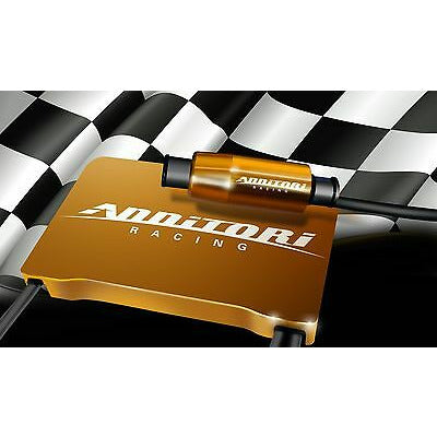 ANNITORI QUICK SHIFTER CO: 453542