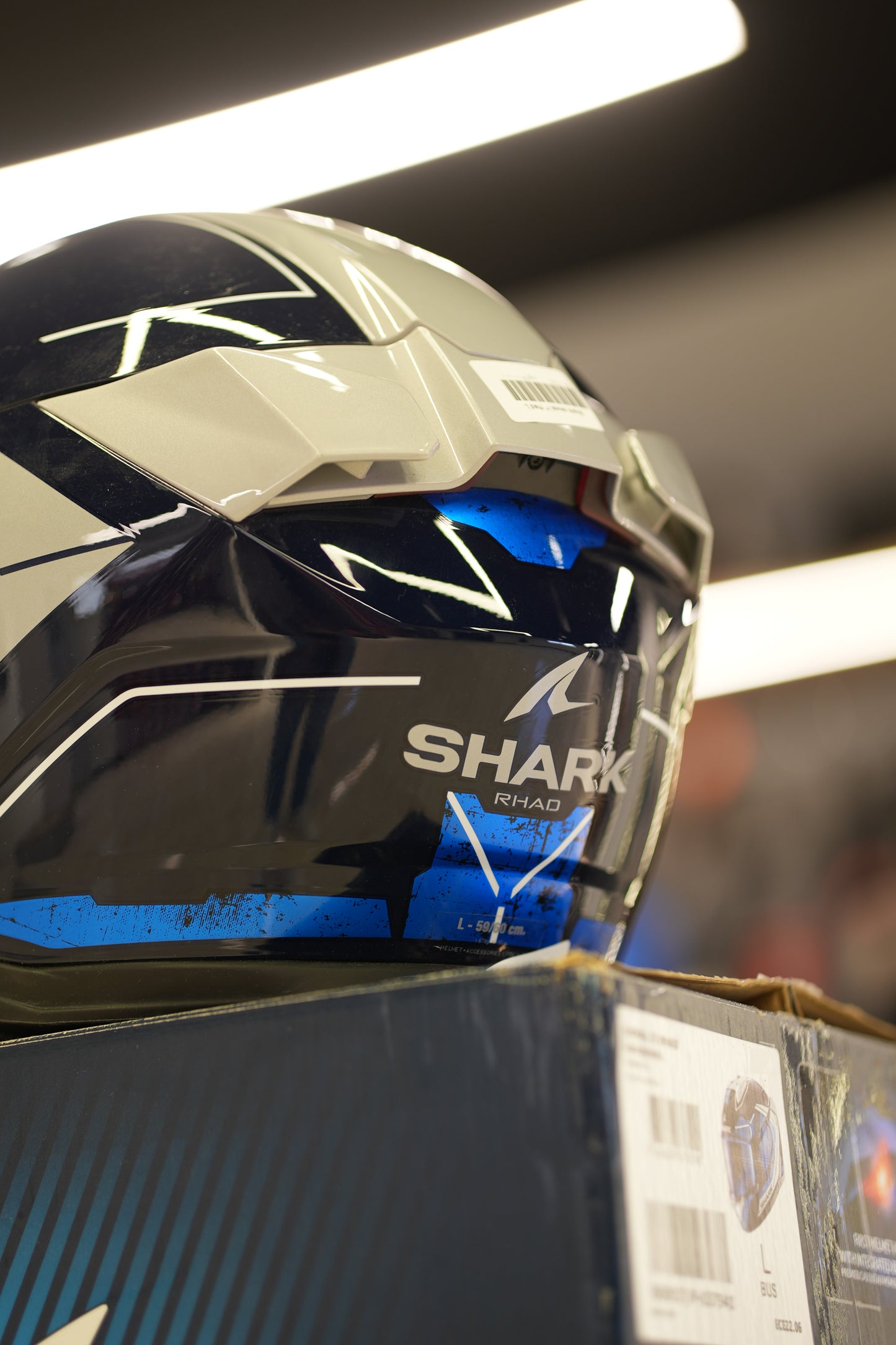 Shark skwal i3 rhad L(CO 2510288)